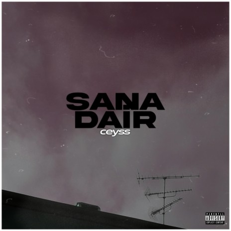 دانلود آهنگ جدید سبینور به نام سانا دایر
